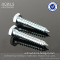 High quality carbon steel hex lag wood screw DIN571